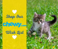 Our Chewy Wish List